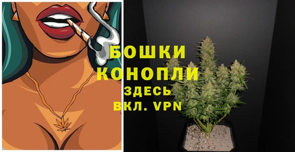 мяу мяу мука Абаза
