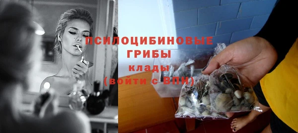 ПСИЛОЦИБИНОВЫЕ ГРИБЫ Абинск