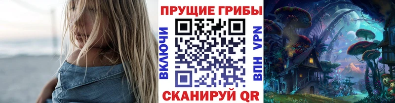 купить   Александров  блэк спрут tor  Галлюциногенные грибы ЛСД 
